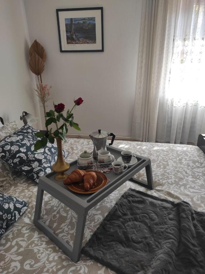Apartmani Gruzdovo Delnice Exteriör bild