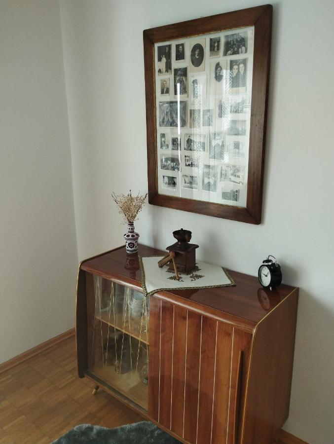Apartmani Gruzdovo Delnice Exteriör bild