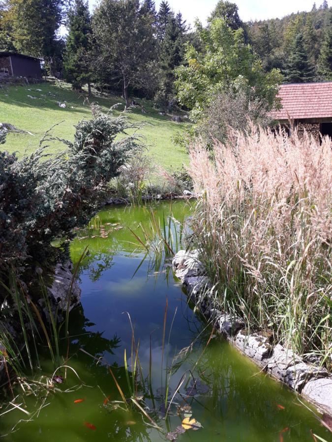 Apartmani Gruzdovo Delnice Exteriör bild