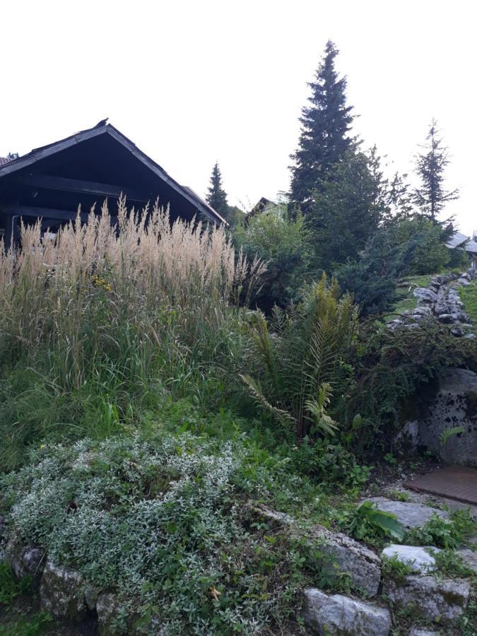 Apartmani Gruzdovo Delnice Exteriör bild