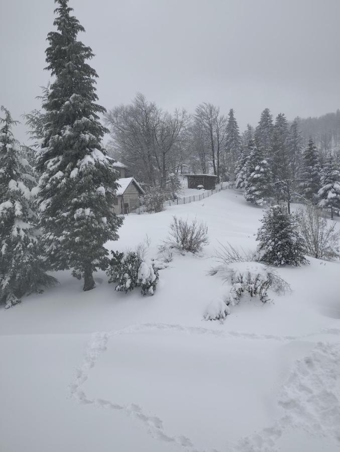 Apartmani Gruzdovo Delnice Exteriör bild