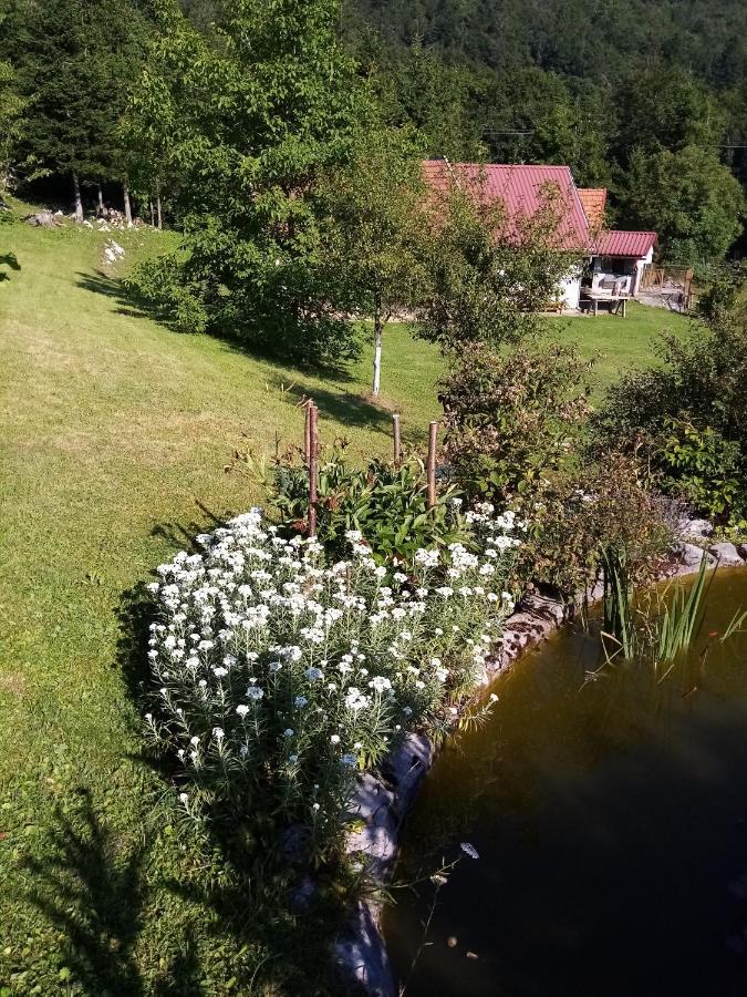 Apartmani Gruzdovo Delnice Exteriör bild