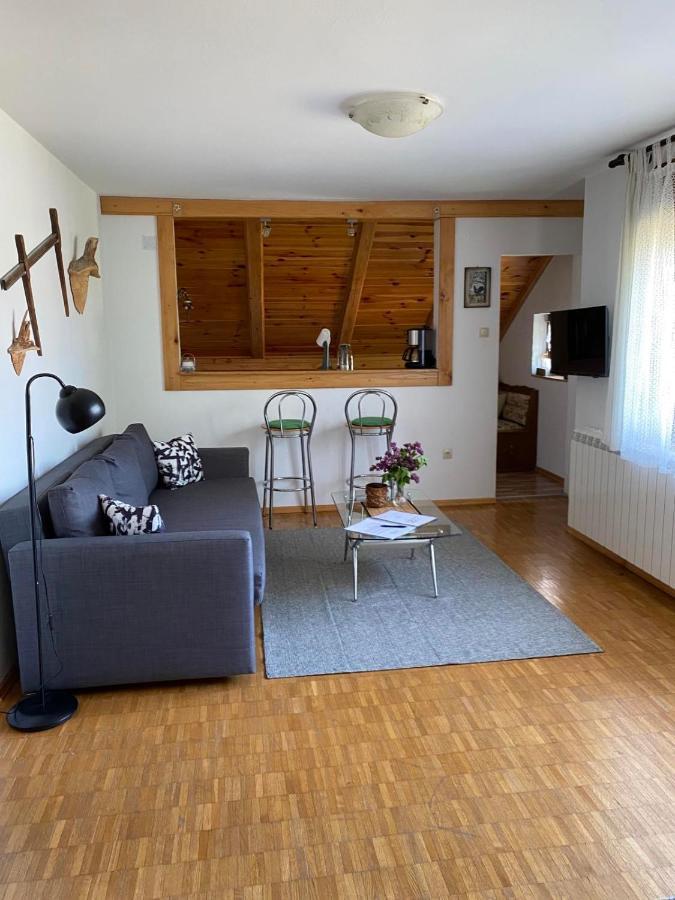 Apartmani Gruzdovo Delnice Exteriör bild