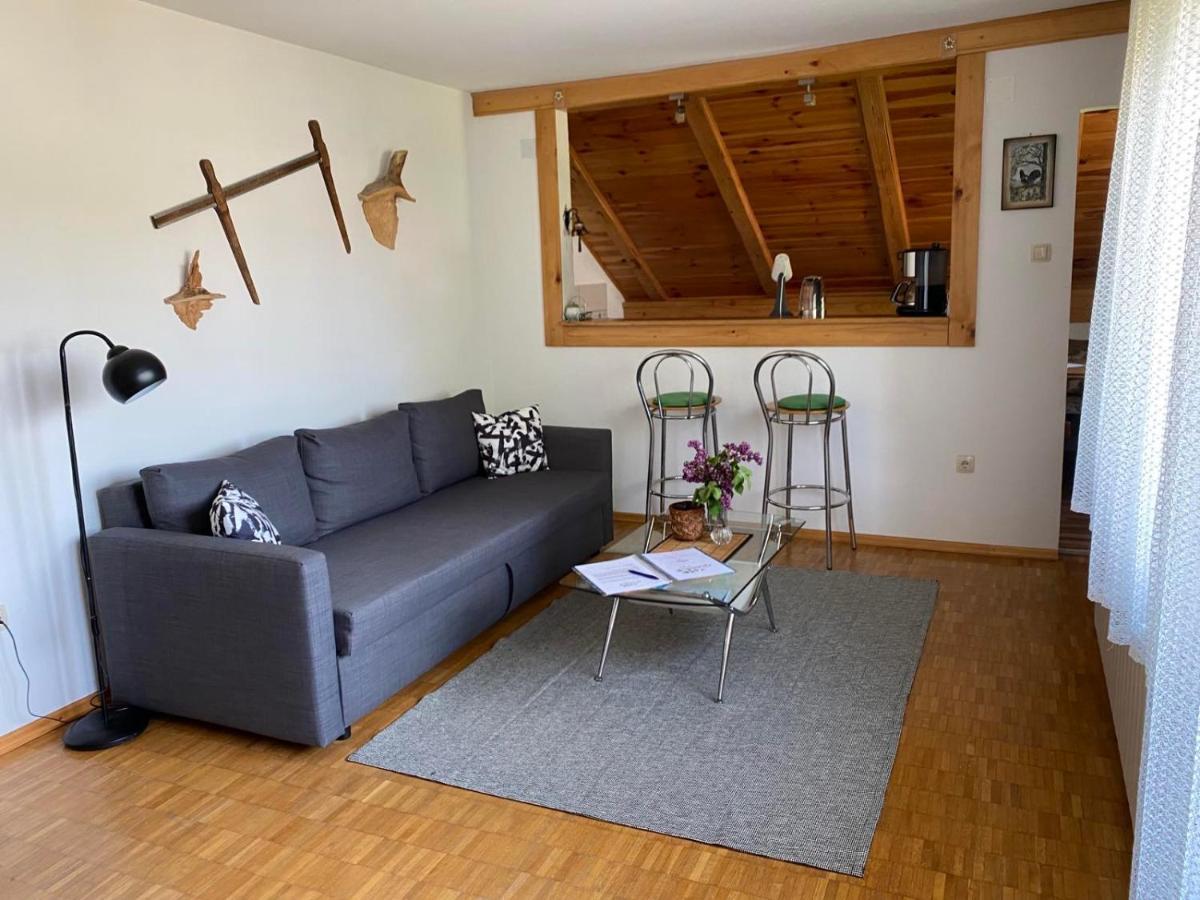 Apartmani Gruzdovo Delnice Exteriör bild