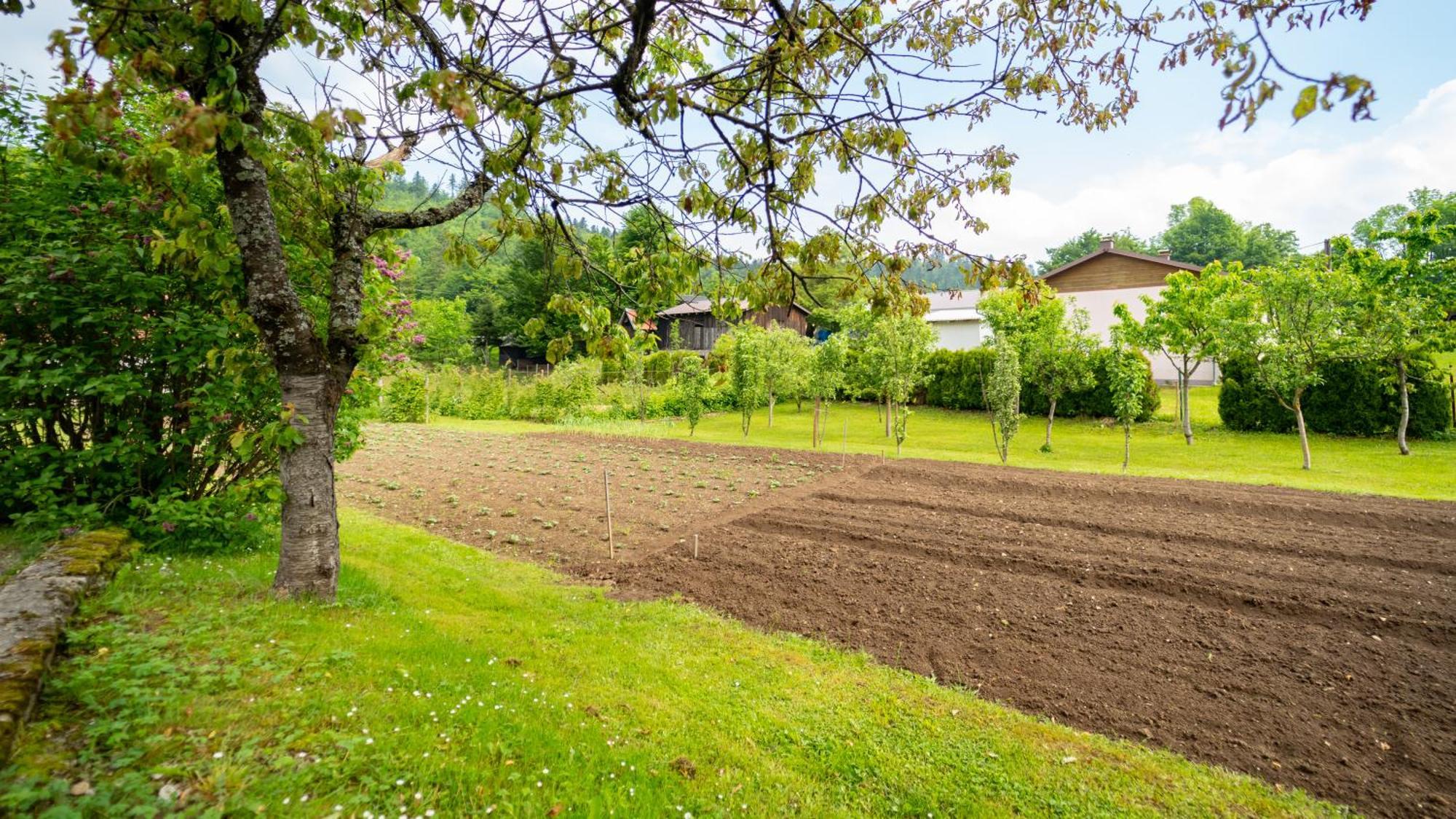 Apartmani Gruzdovo Delnice Exteriör bild